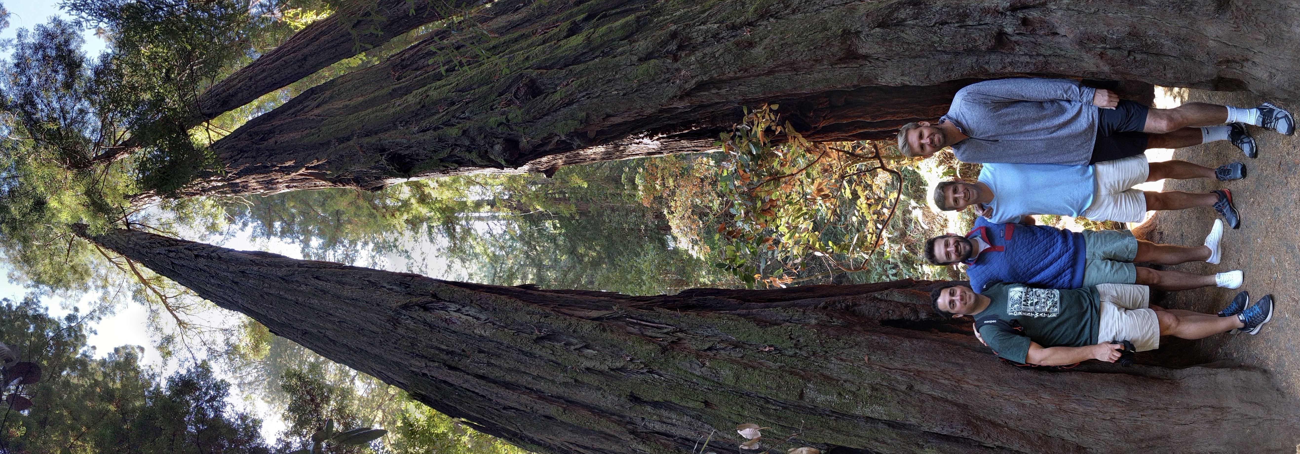 Muir Woods trail
