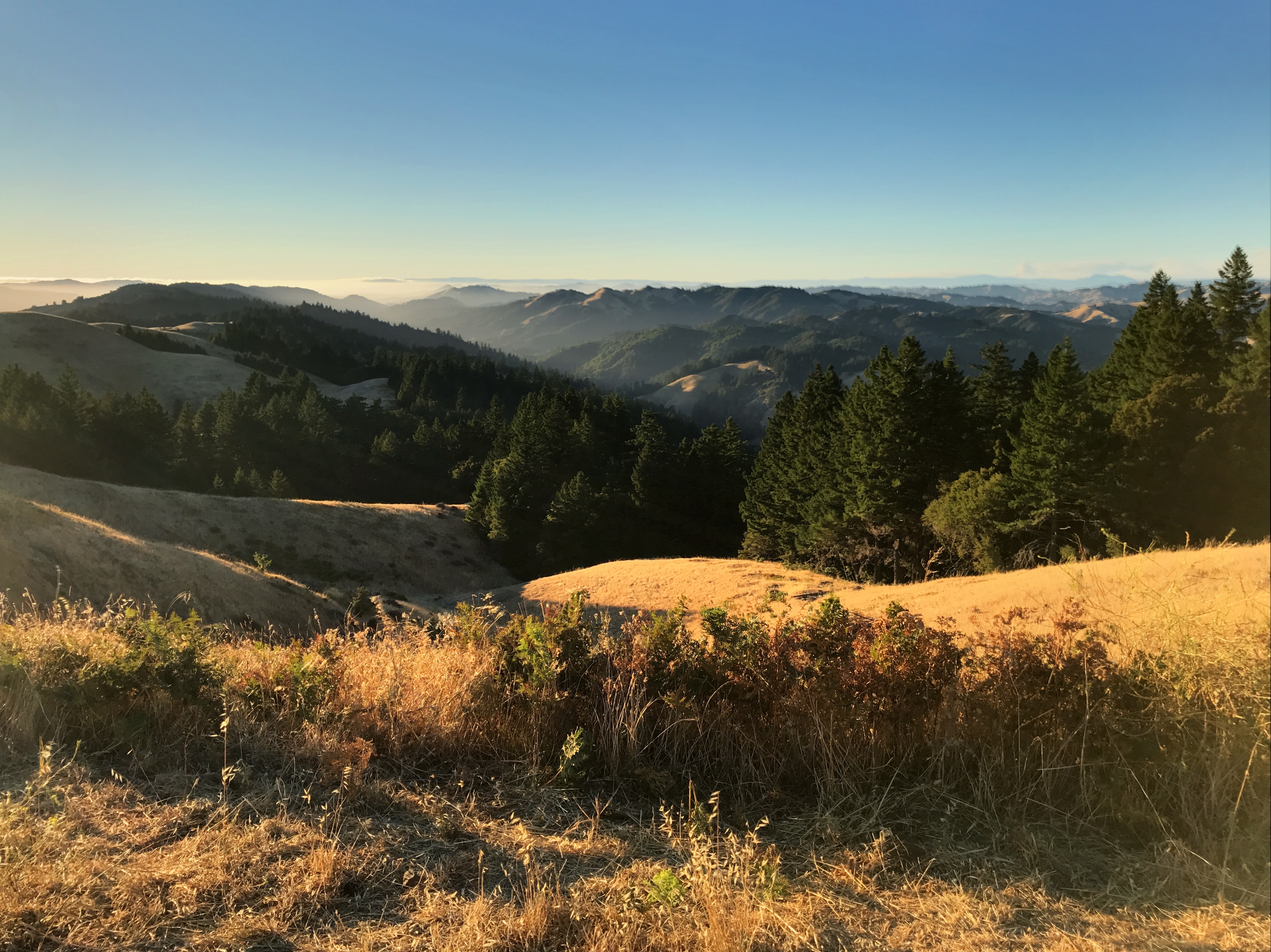 Mount Tamalpais summit view