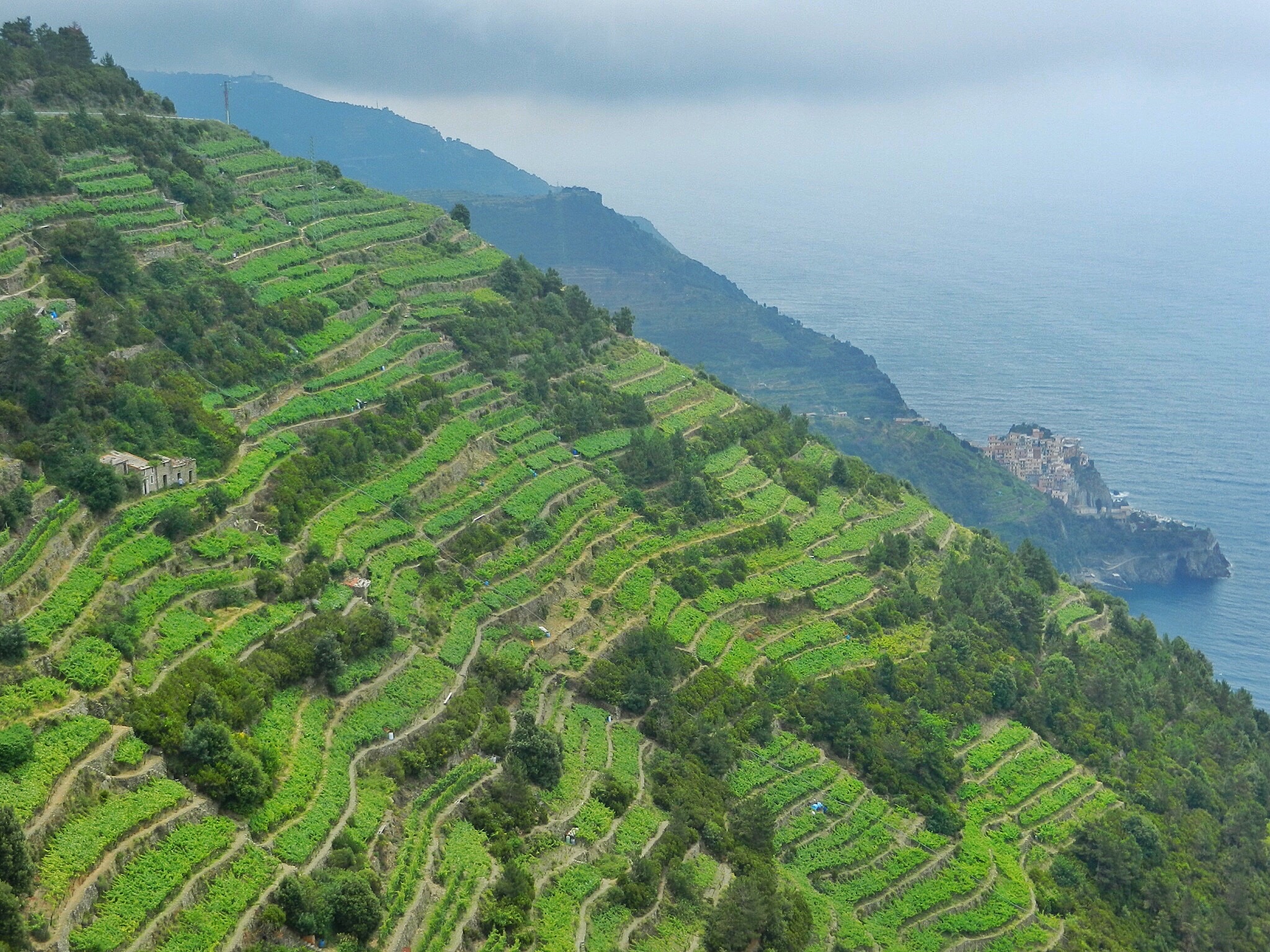 Cinque Terre hiking