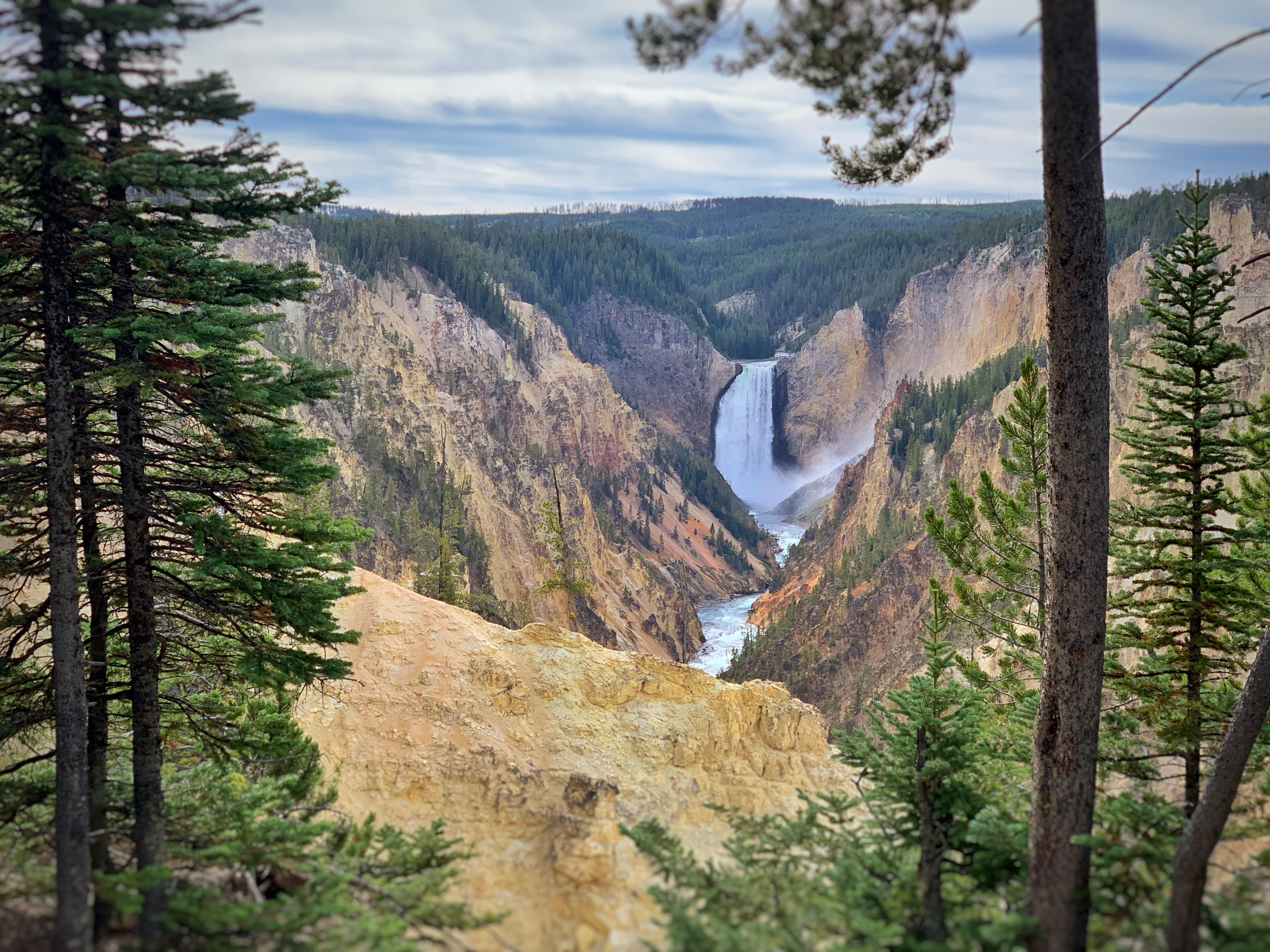 Grand Canyon of the Yellowstone