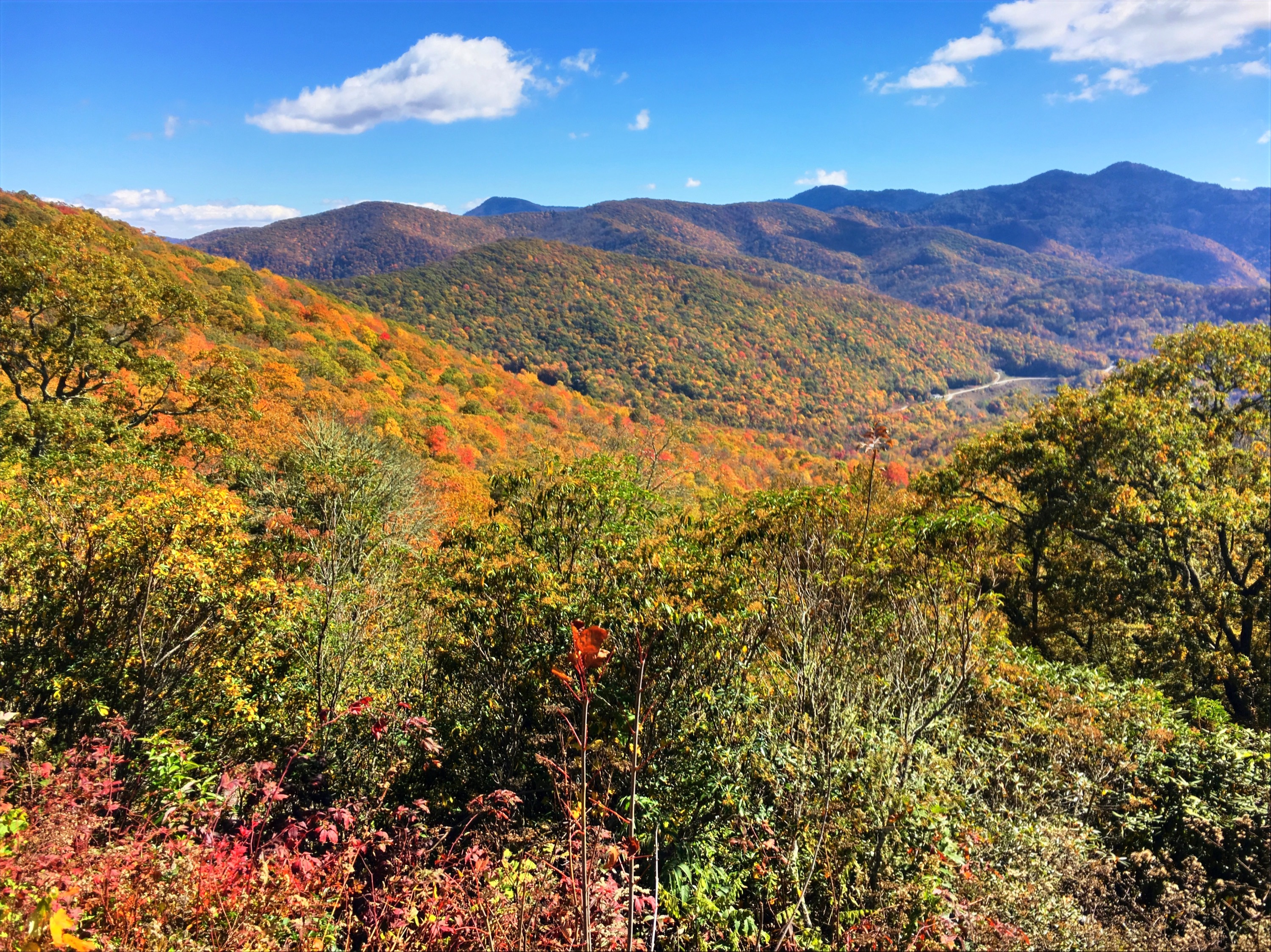 Blue Ridge Parkway