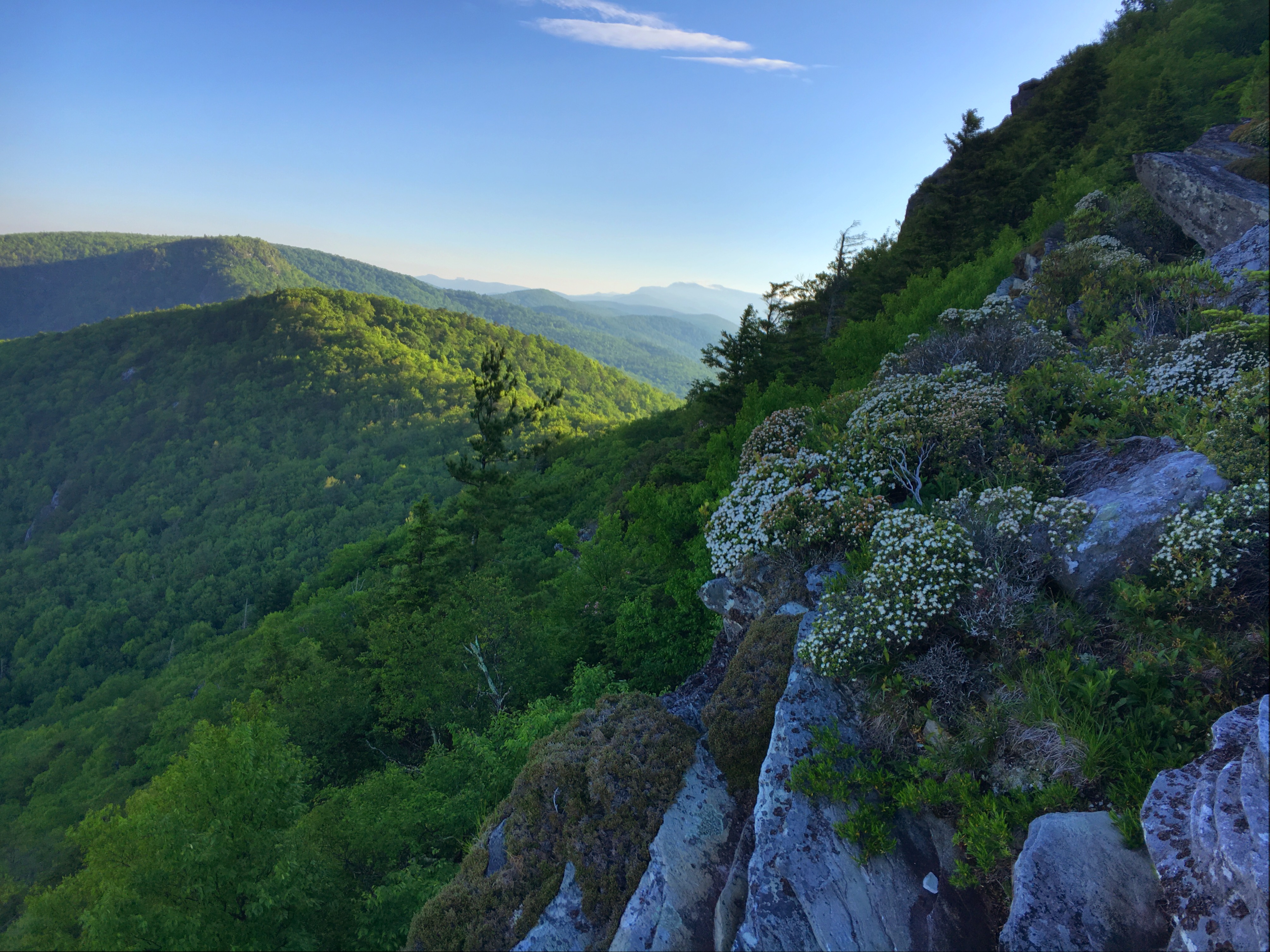 Hawksbill Ridge summit