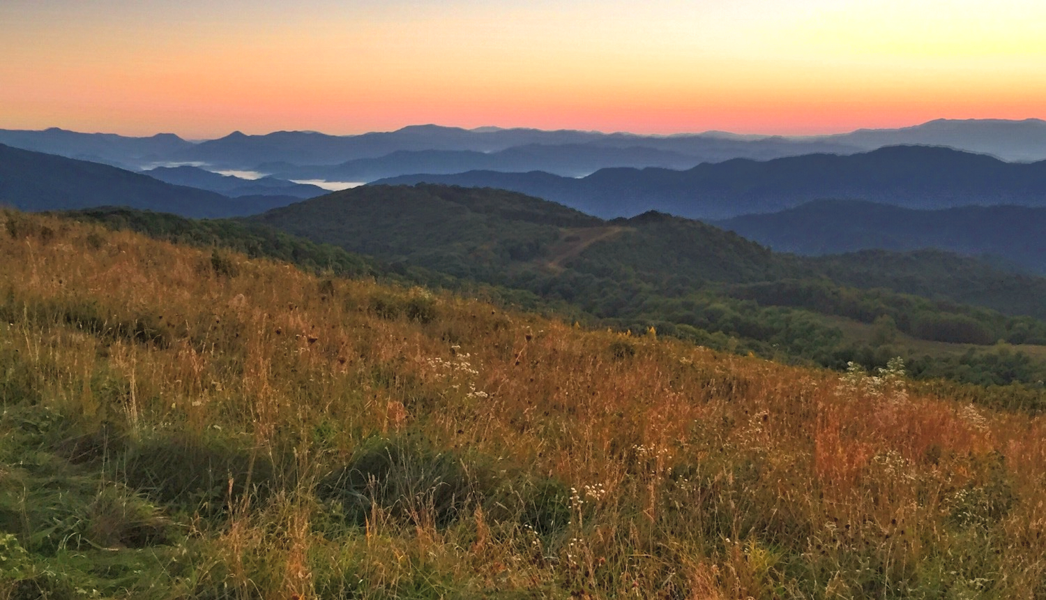 Max Patch panorama