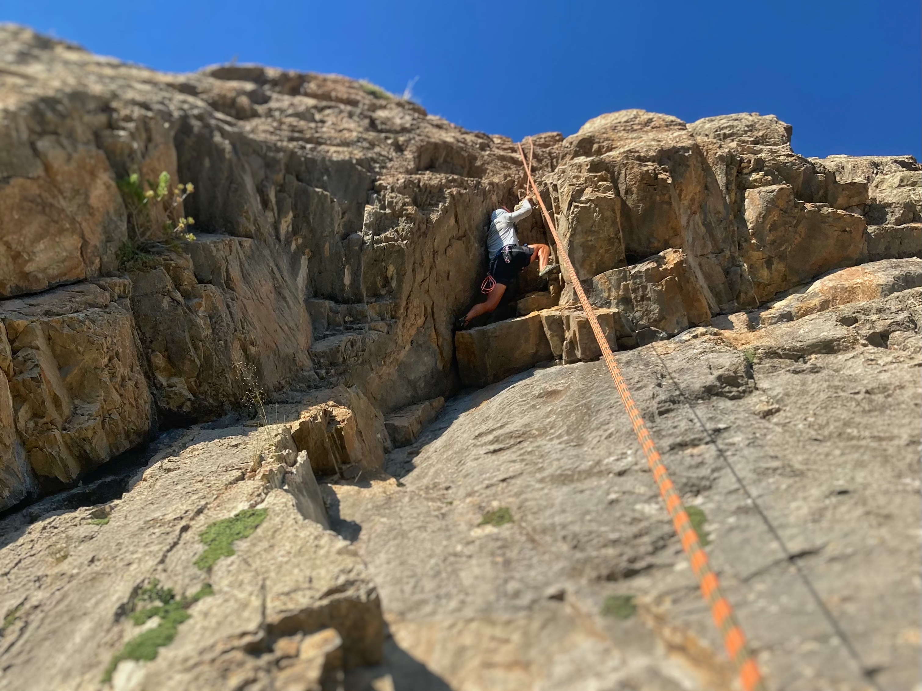 Hoback climbing training
