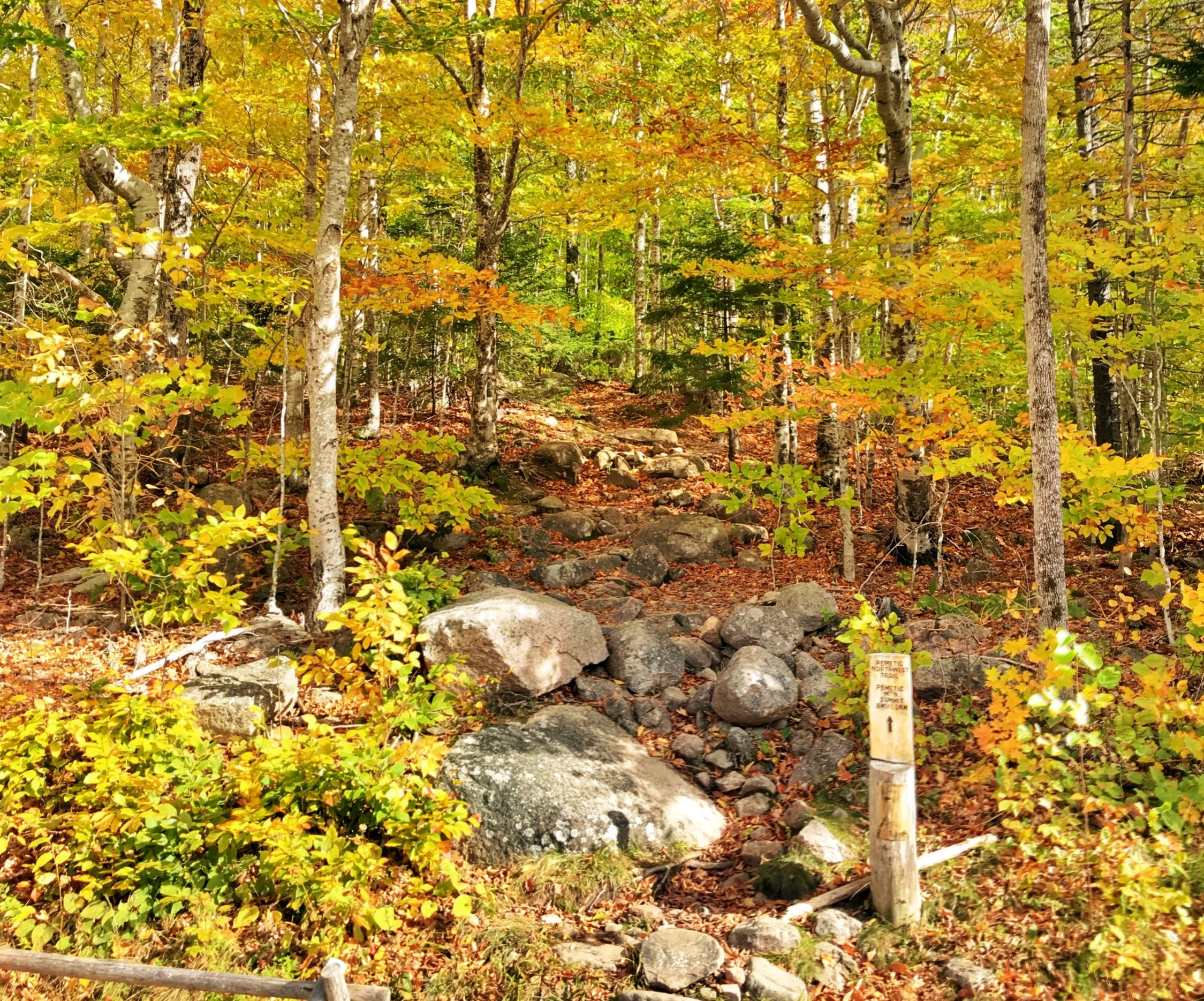 Acadia National Park in fall