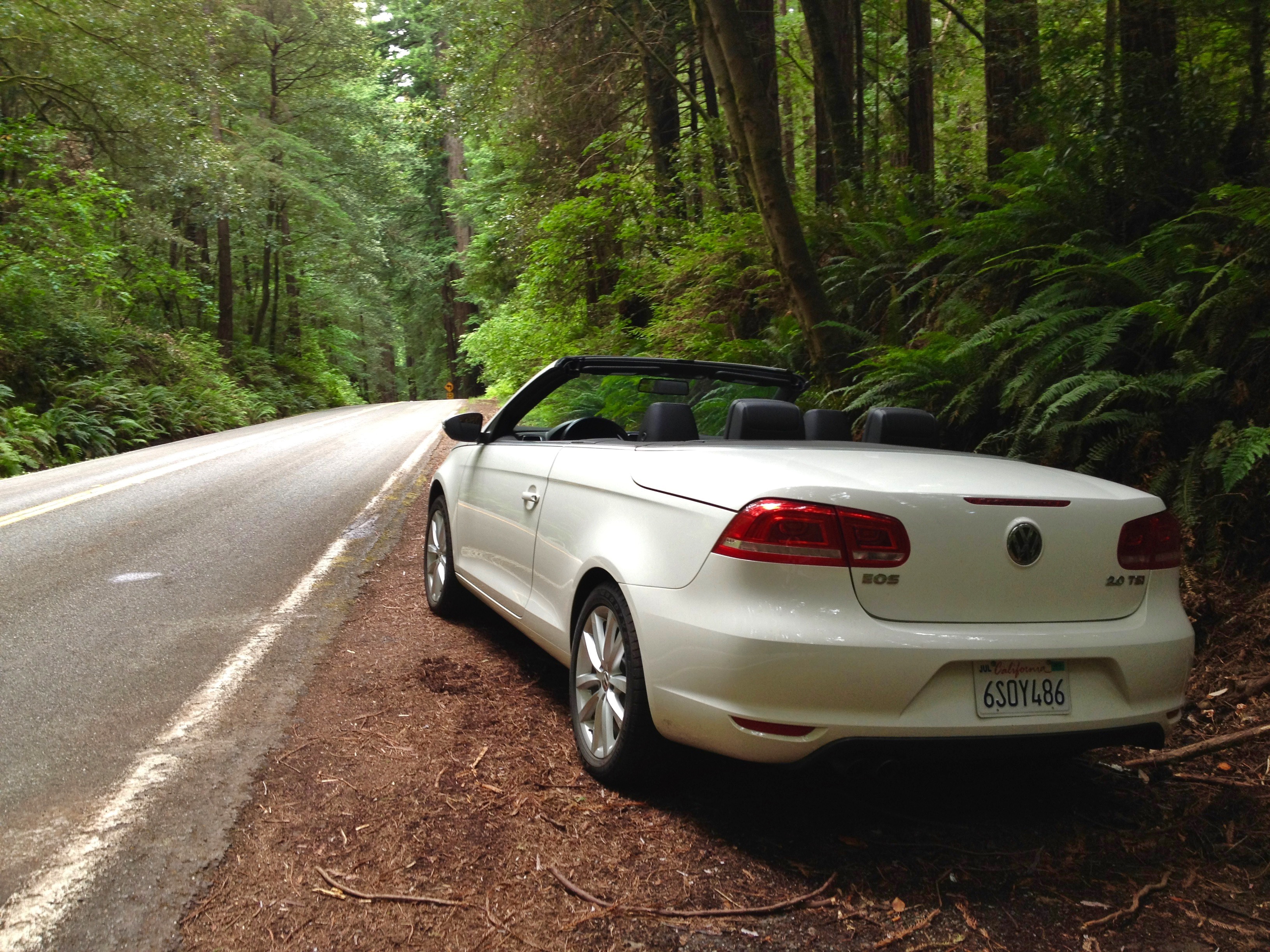 Convertible top down on the road trip